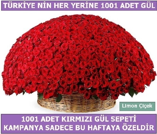 1001 Adet krmz gl Bu haftaya zel  Ankara ankaya ankaya nternetten iek siparii 